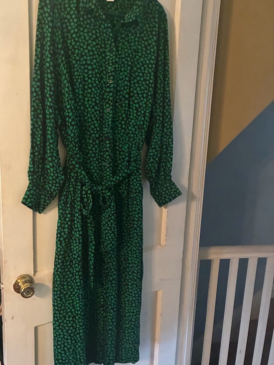 H&M Dresses & Skirts - H&M Green Printed Long-Sleeve Button-Front Midi Dress
